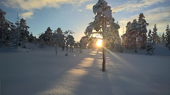 Fantastiske forhold på Kregneskjølen